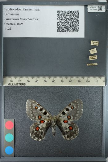 Media type: image;   Entomology 174849